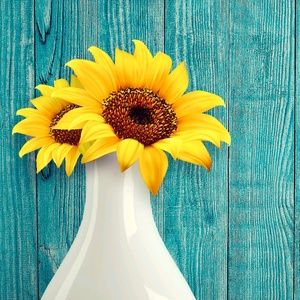 Meet your Posher, Vicki